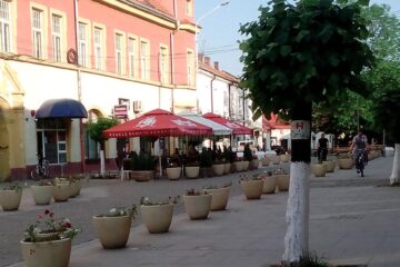 Protest împotriva desființării pietonalului din centrul municipiului Rădăuți. Foto primariaradauti.ro