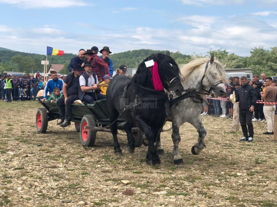 Târgul de cai de la Marginea, cel mai mare din Moldova, la a VII-a ediție 2