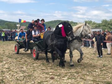 Târgul de cai de la Marginea, cel mai mare din Moldova, la a VII-a ediție 2