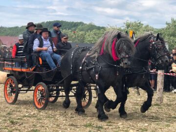 Târgul de cai de la Marginea, cel mai mare din Moldova, la a VII-a ediție