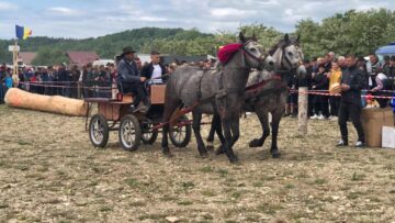 Târgul de cai de la Marginea, cel mai mare din Moldova, la a VII-a ediție
