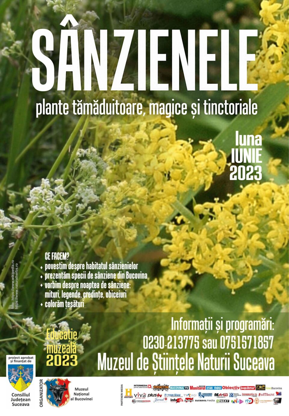 „Sânzienele – plante tămăduitoare, magice și tinctoriale”, la Muzeul de Științele Naturii
