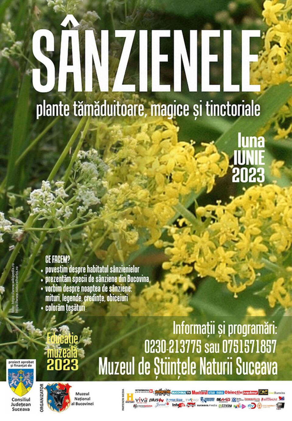 „Sânzienele – plante tămăduitoare, magice și tinctoriale”, la Muzeul de Științele Naturii „Sânzienele – plante tămăduitoare, magice și tinctoriale”, la Muzeul de Științele Naturii