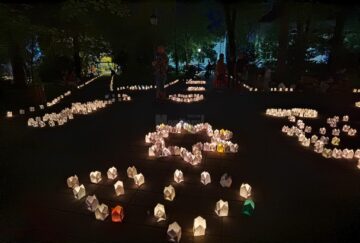 Mii de gulguțe au luminat aleile Parcului Central Suceava la „Festivalul Luminii”, ediția a X-a