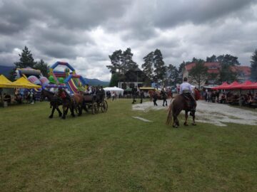 Cai și calești la festival
