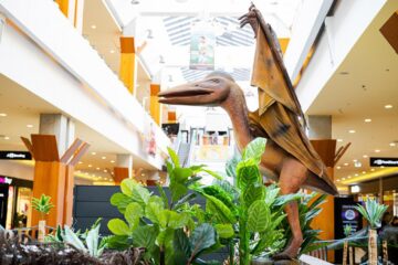 26 de specii preistorice de dinozauri, reproduse în mărime naturală, pot fi văzute și fotografiate la Iulius Mall Suceava