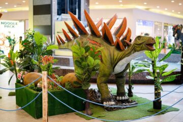 26 de specii preistorice de dinozauri, reproduse în mărime naturală, pot fi văzute și fotografiate la Iulius Mall Suceava