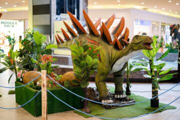 26 de specii preistorice de dinozauri, reproduse în mărime naturală, pot fi văzute și fotografiate la Iulius Mall Suceava