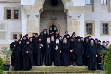 Vizita părintelui Efrem Vatopedinul la Mănăstirea Putna Foto: ziarullumina.ro