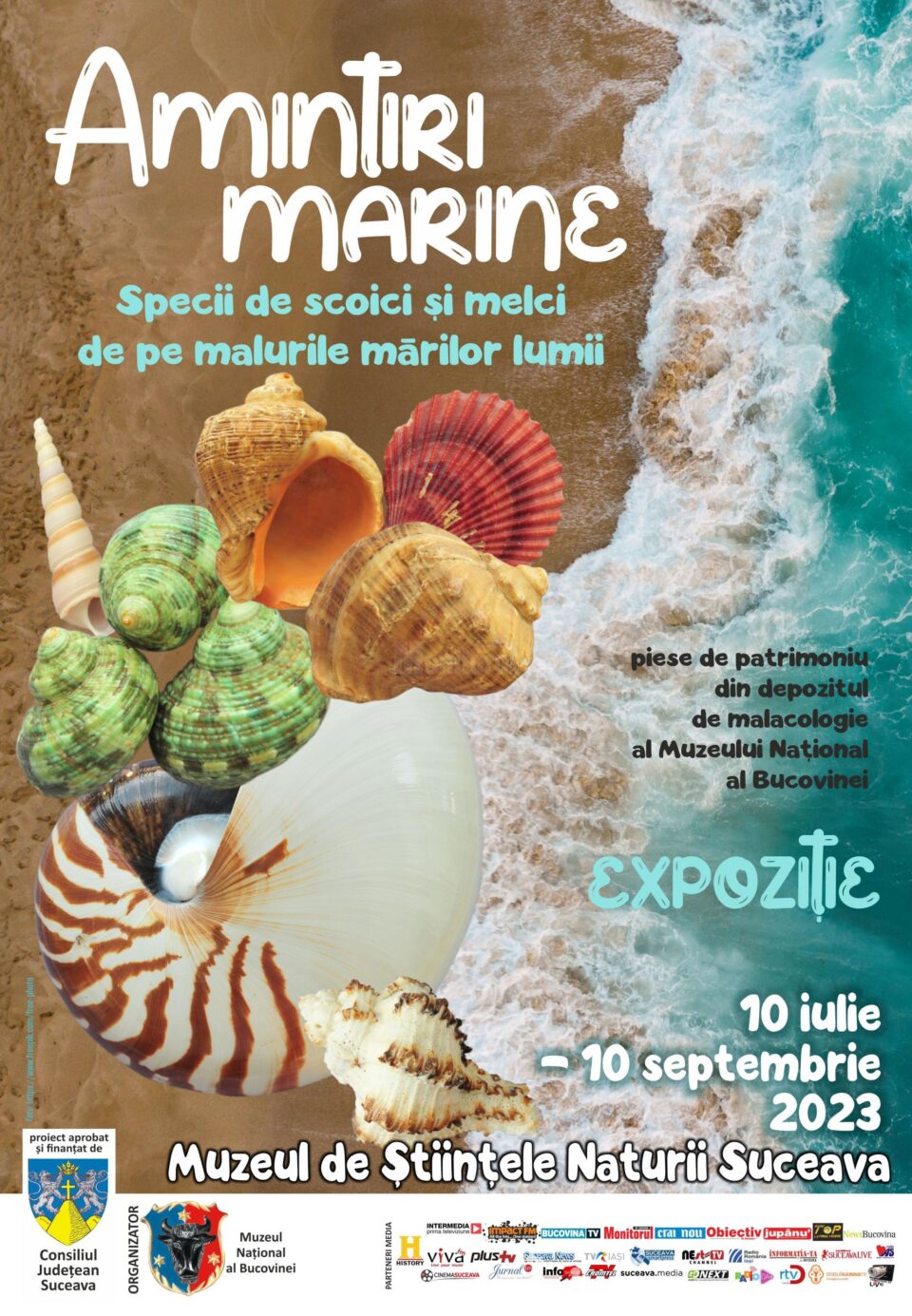 Expoziția „Amintiri marine. Specii de melci și scoici de pe malurile mărilor lumii”, la Muzeul de Științele Naturii Expoziția „Amintiri marine. Specii de melci și scoici de pe malurile mărilor lumii”, la Muzeul de Științele Naturii