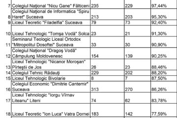 Rezultatele liceelor din județ la examenul de bacalaureat 2023