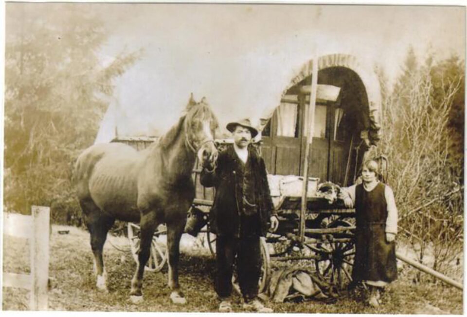 „Țiganii din Bucovina”