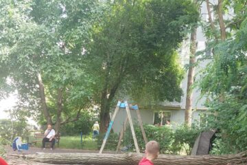 Un copac s-a prăbușit peste un loc de joacă de pe Aleea Saturn din municipiul Suceava