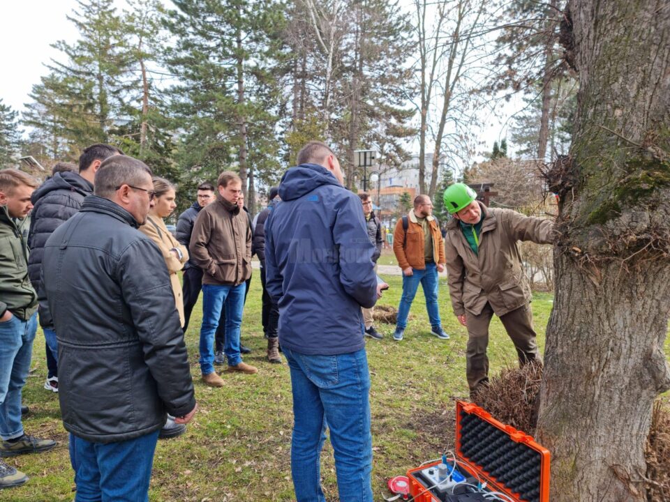 Evaluarea sănătății arborilor cu ajutorul tomografului pentru copaci