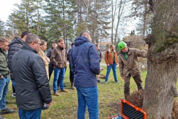 Evaluarea sănătății arborilor cu ajutorul tomografului pentru copaci