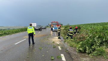 Furtuna a pus la pământ copaci, stâlpi de electricitate și a smuls acoperișuri de case