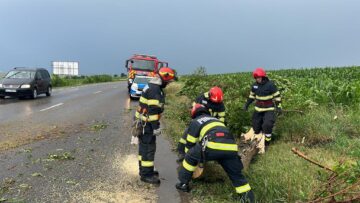 Furtuna a pus la pământ copaci, stâlpi de electricitate și a smuls acoperișuri de case