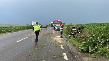 Furtuna a pus la pământ copaci, stâlpi de electricitate și a smuls acoperișuri de case