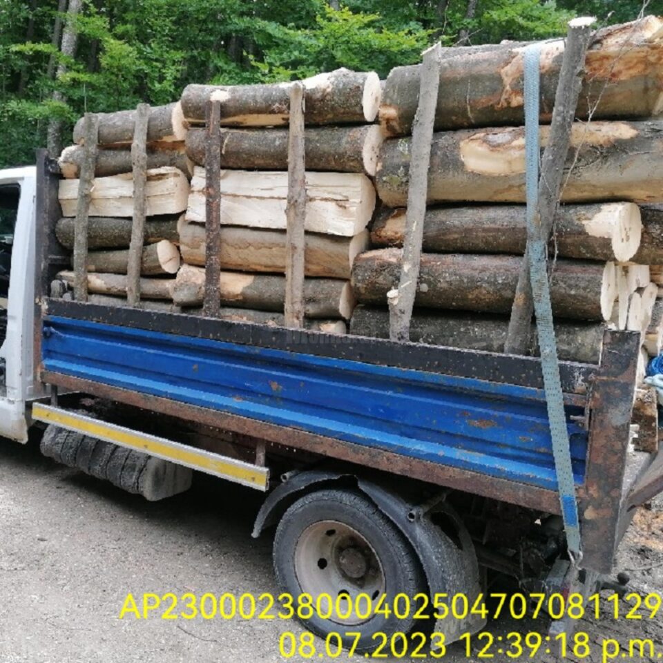 Agentul economic a reușit ca în 10 zile să efectueze 211 transporturi ilegale de material lemnos, ceea ce a atras confiscarea valorică a întregii cantități transportate