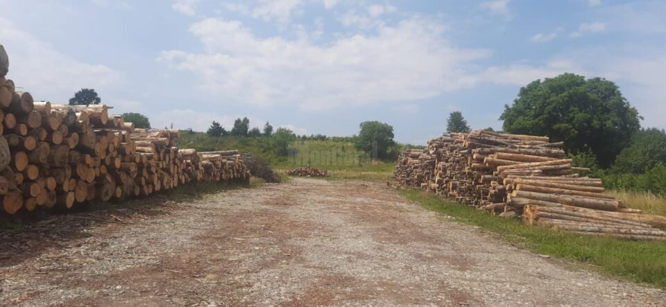 Peste 400 mc lemn confiscat după o acțiune care a vizat în special trei agenți economici din Mălini Peste 400 mc lemn confiscat după o acțiune care a vizat în special trei agenți economici din Mălini