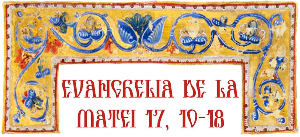 Evanghelia ziei
