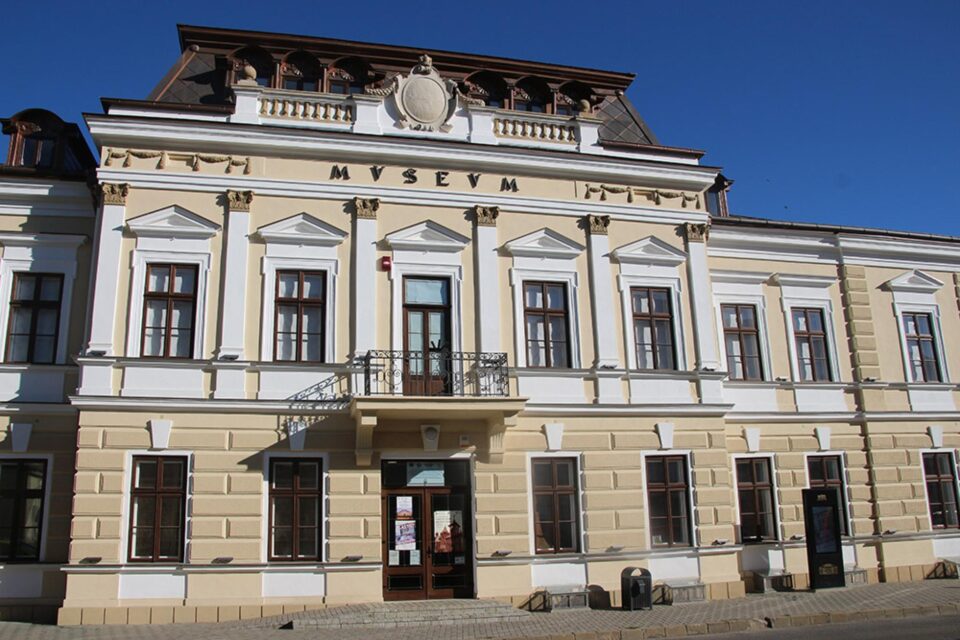 Festivalul Oportunităților în Carieră, la Muzeul Arta Lemnului