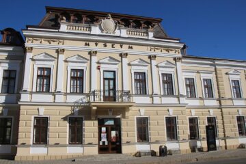 Festivalul Oportunităților în Carieră, la Muzeul Arta Lemnului