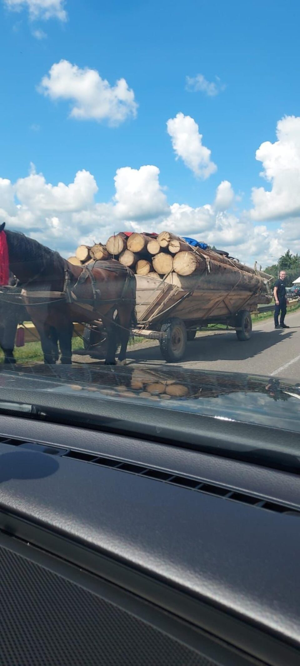 Așa arată una din căruțele oprite la Vicovu de Sus
