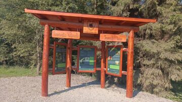 Tinovul Mare sau turbăria de la Poiana Stampei, un loc aparte din Bucovina