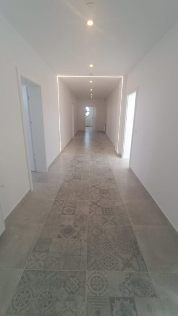 Holuri de legătură