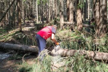 Mai multe trasee turistice, degajate de cei de la Salvamont Suceava după căderile de arbori