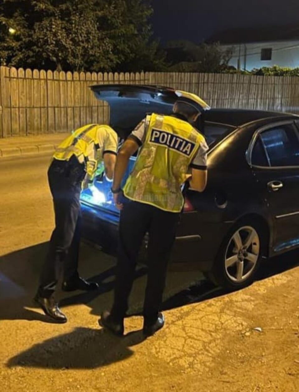 Poliția în acțiune