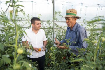 Deputatul Gheorghe Șoldan și legumicultorul sucevean Vasile Mătrășoaie