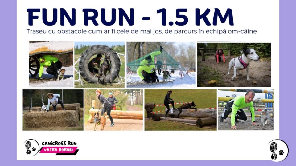 Alergare cu obstacole, în tandem cu câinele, în parcul central din Vatra Dornei