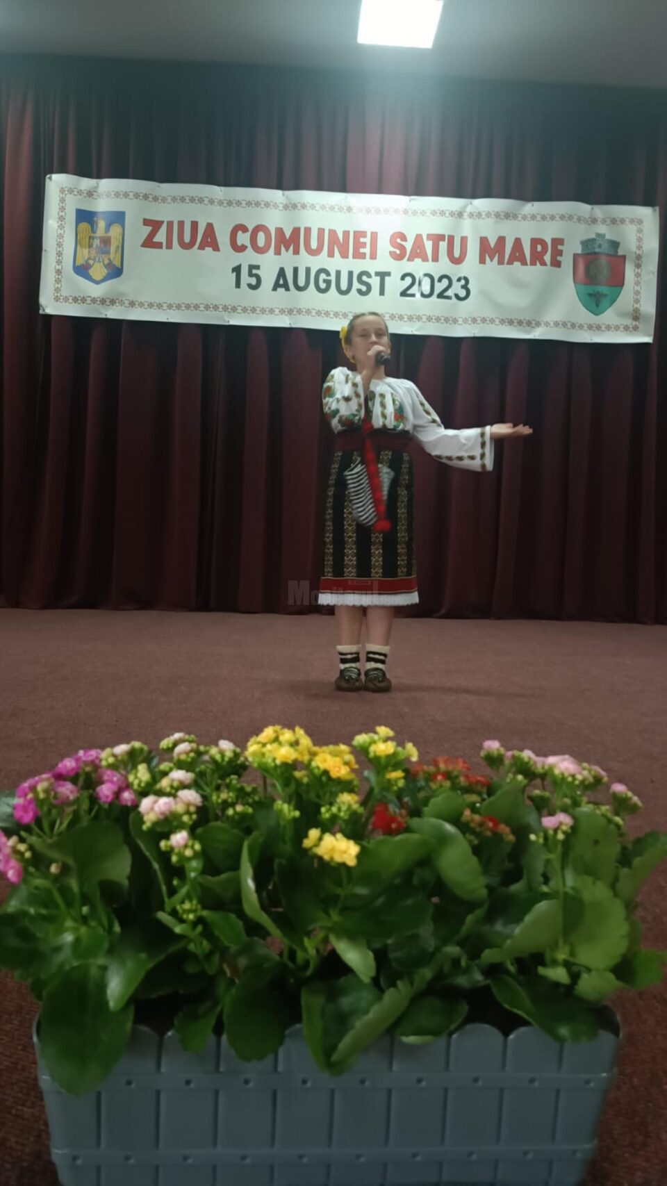 Pe scenă au urcat tinere talente ale comunei Satu Mare