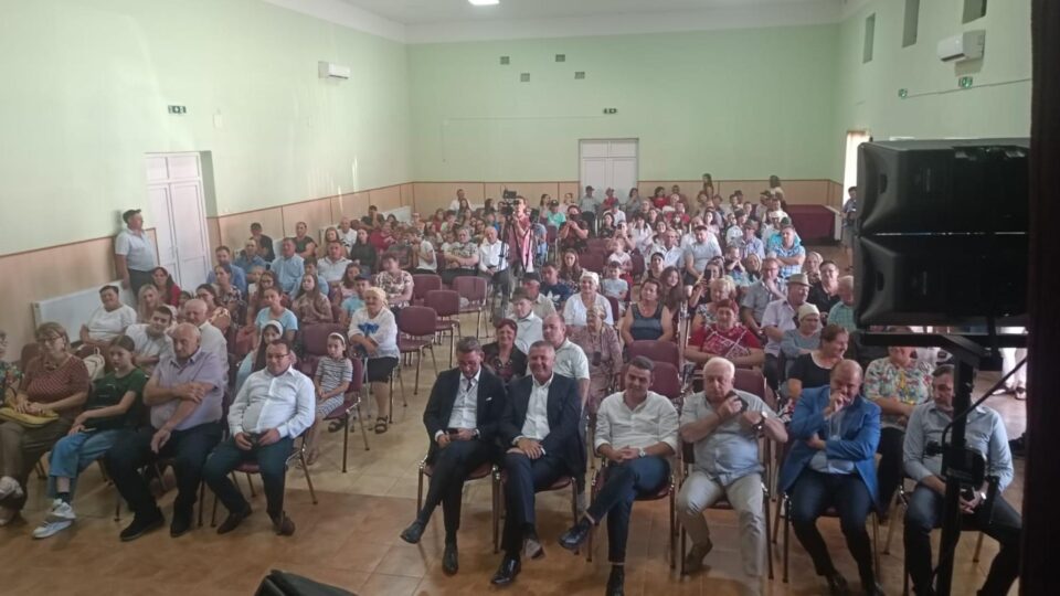 Invitații și publicul prezent la ceremonia de la Satu Mare