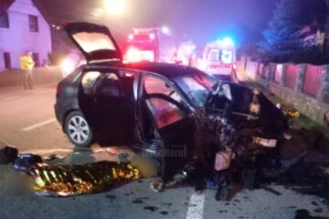 Accident Dorna Candrenilor