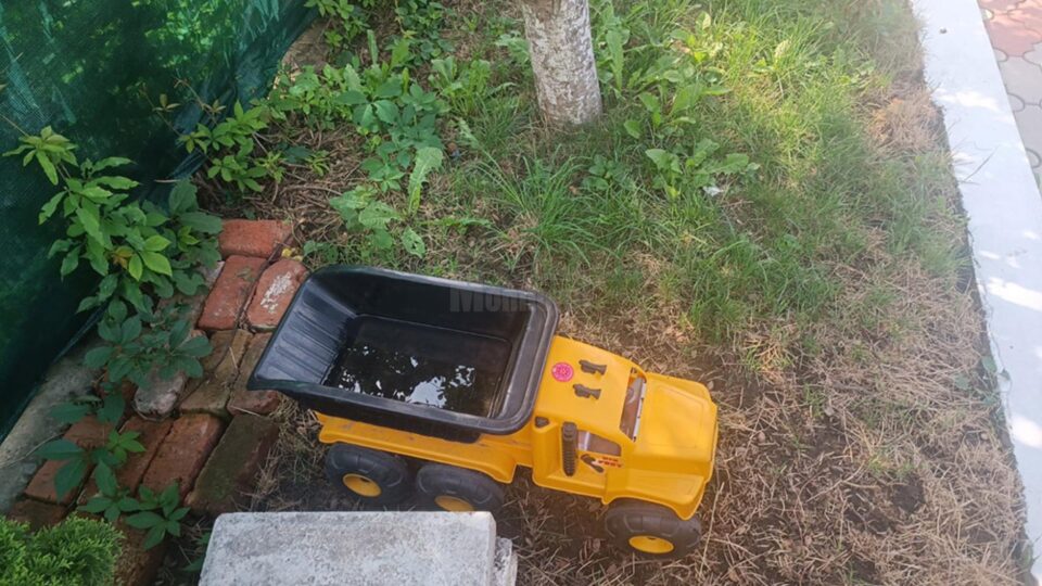 Mașinuță în curtea casei groazei