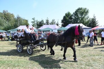 Sosirea alaiului de gospodari de la Iaslovăț