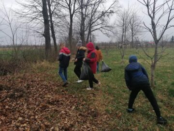 Săptămâna verde, în școli din Suceava