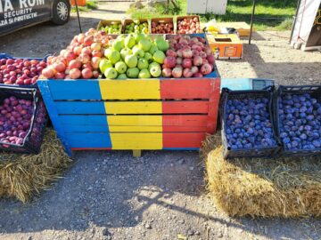 Festivalul Plăcintelor a început la Suceava, cu zeci de delicatese culinare