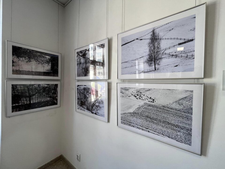 Lucrările fotografului ieșean Eugen Harasim, expuse la Muzeul de Istorie