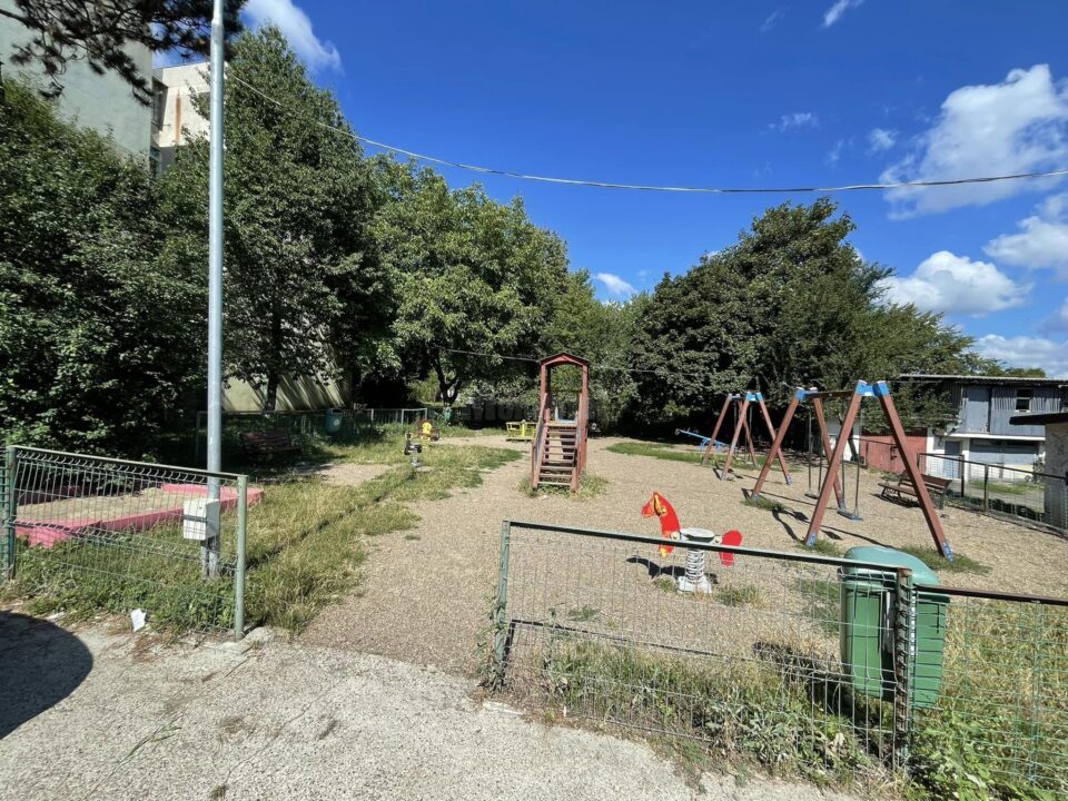 Parcuri neingrijite