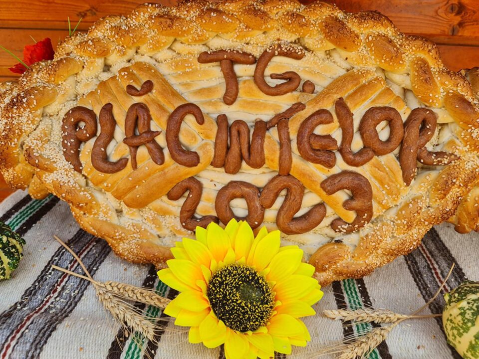 Festivalul Plăcintelor – trei zile de distracție și delicii culinare, la Cetatea Sucevei Juriul concursului “Plăcinta ca-n Bucovina”