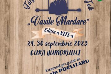 Târgul Național de Muzică Folk „Vasile Mardare”, ediția a VIII-a