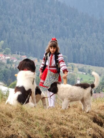 Fetiță din Bucovina