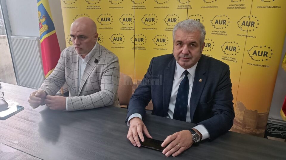 Deputații Doru Acatrinei și Florin Pușcașu