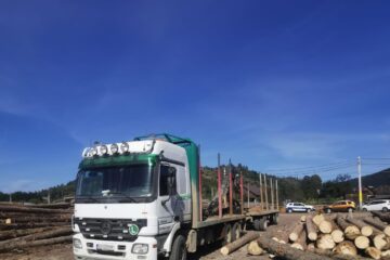Autotrenul confiscat după acțiunea polițiștilor de la Vama