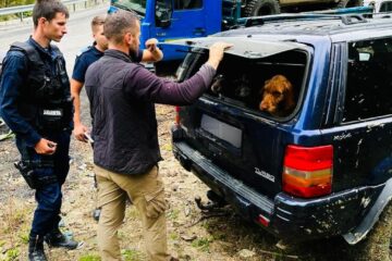 Prins cu 2 kilograme de trufe negre, găsite cu câini special antrenați