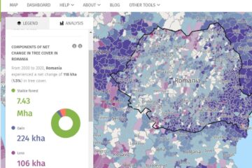 Suprafața totală de pădure în România este de 7.037.607 ha, din care terenuri acoperite cu arbori 6.929.047 ha, iar terenuri destinate împăduririi 56.653 ha